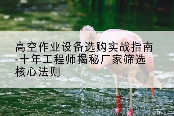兴安剪叉式升降机厂家-高空作业设备选购实战指南-十年工程师揭秘厂家筛选核心法则