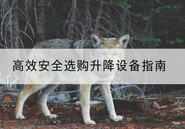 兴安升降货梯厂家推荐-*安全选购升降设备指南