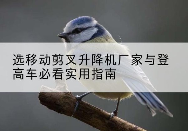 兴安电动升降机厂家-选移动剪叉升降机厂家与登高车必看实用指南