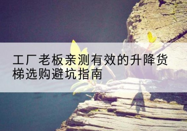 兴安升降货梯怎么选-工厂老板亲测有效的升降货梯选购避坑指南